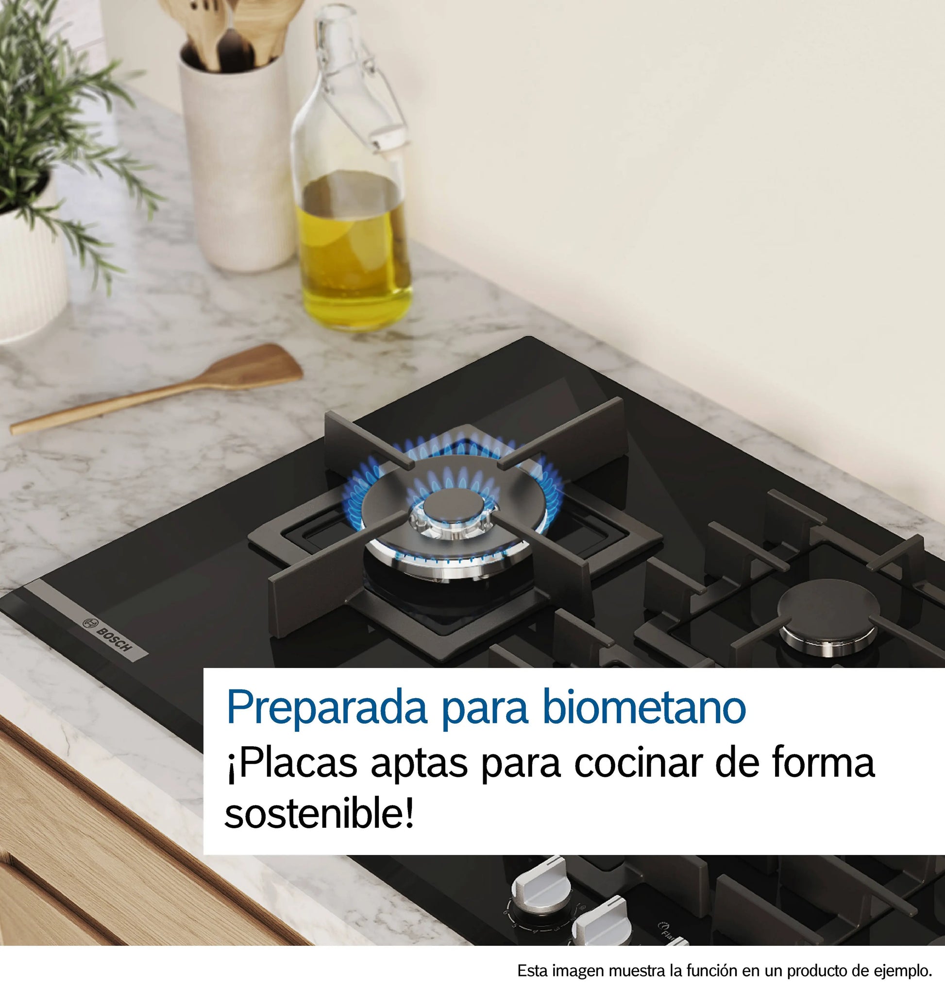 Apto biometano