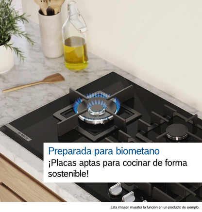 Apto biometano