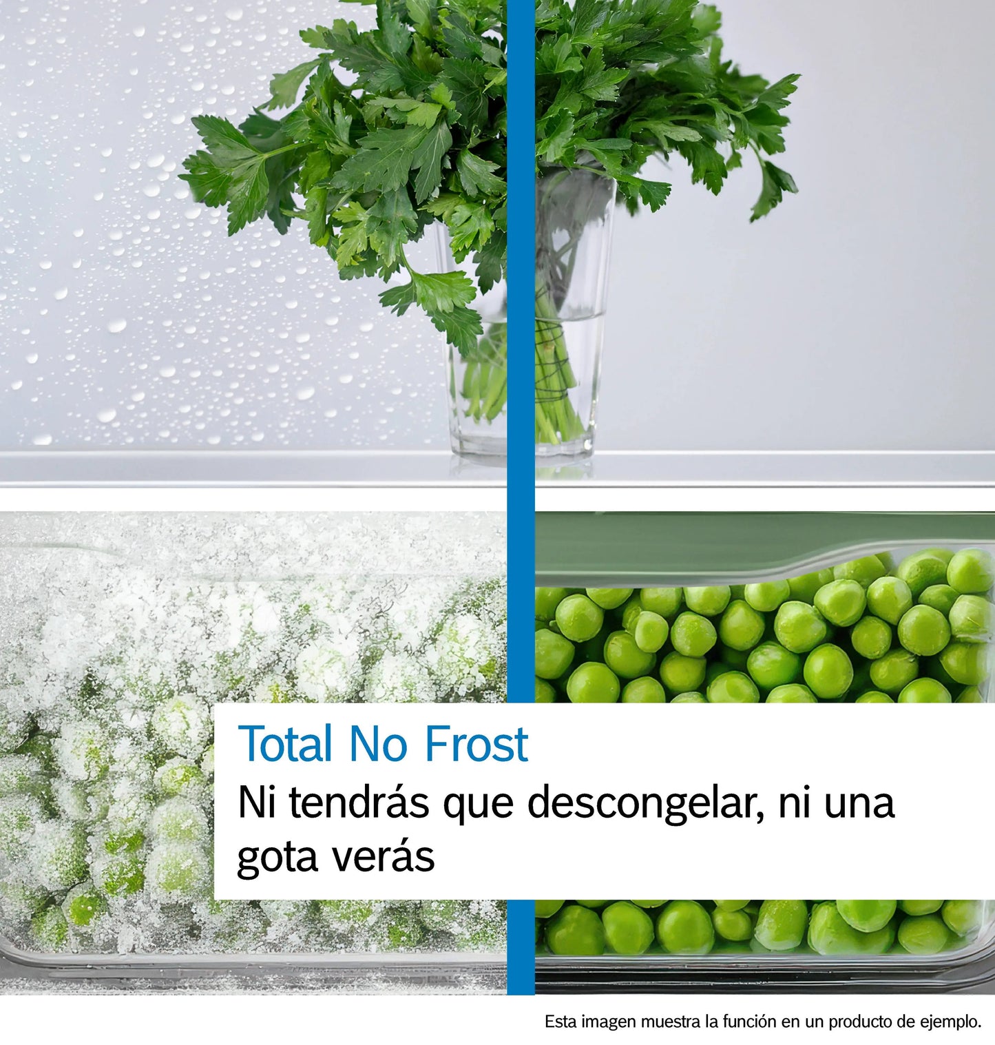 Total No Frost
